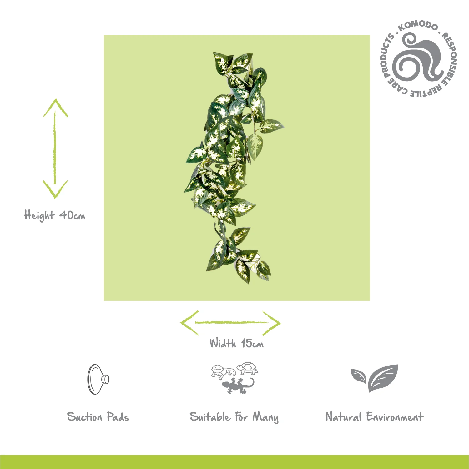 Borneo Hanging Vine - Image 3
