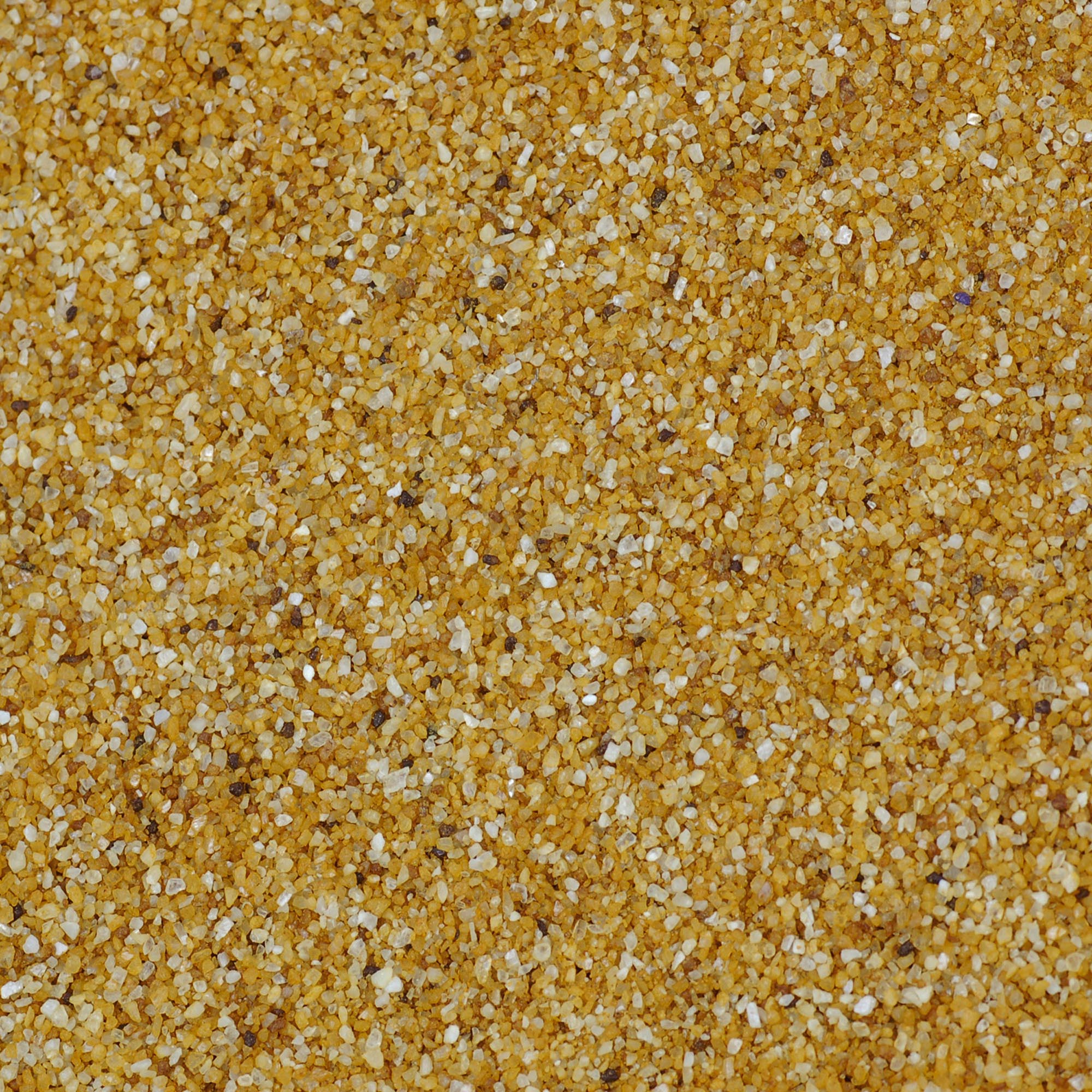 CaCo3 Sand - Image 5