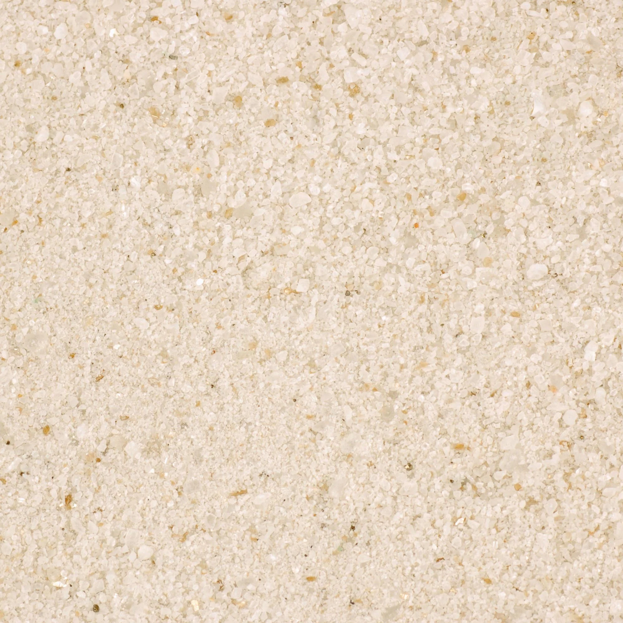 CaCo3 Sand - Image 6