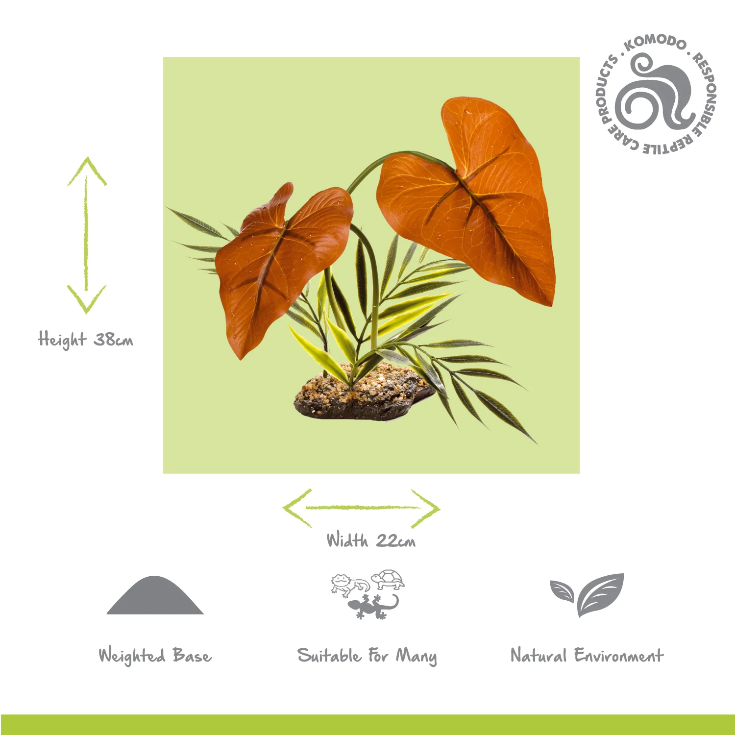 Rainforest Canopy - Image 2